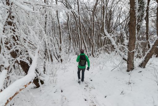 A man with hiking outfit walking in the snowy woods