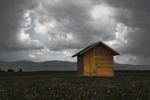 A scenic view of a tiny wooden house in an open field of flowers under a cloudy sky