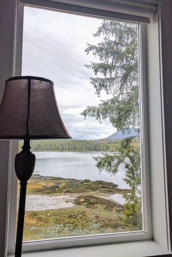A vertical shot of a window view with a body of water visible and a lamp on the left