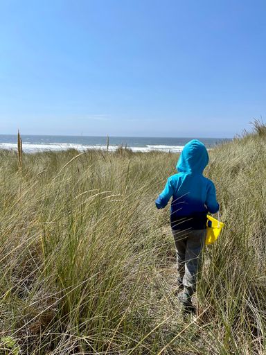A vertical shot of a kid from behind, walking in dried grass toward the ocean