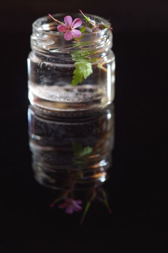 A vertical closeup shot of a small pink flower in a jar with a reflection on a black background