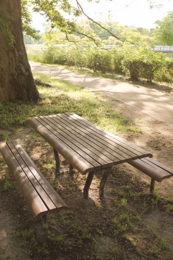 A beautiful shot of the park with two wooden benches and a table on the foreground