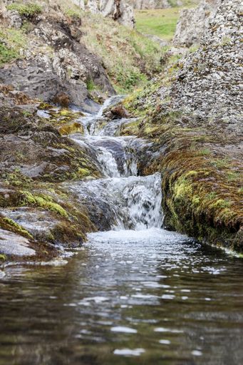 A vertical shot of a cascade flowing on mossy rocks, Iceland