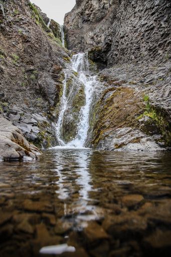 A vertical shot of a small waterfall flowing on mossy rocks, Iceland