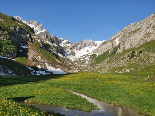 A beautiful view of the landscape with field and snowy mountains on a sunny day