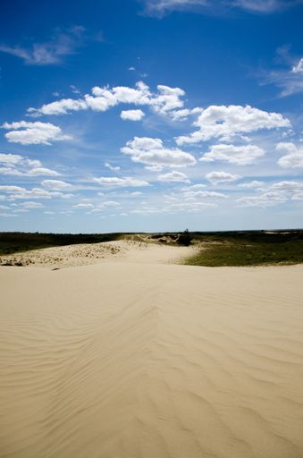 A long sandy pathway gleaming under the cloudy blue sky