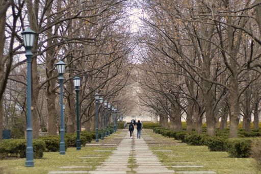 A beautiful view of people walking in a park with large trees