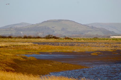A beautiful scene of pond water with yellow grassland and mountains against a hazy sky on the horizon