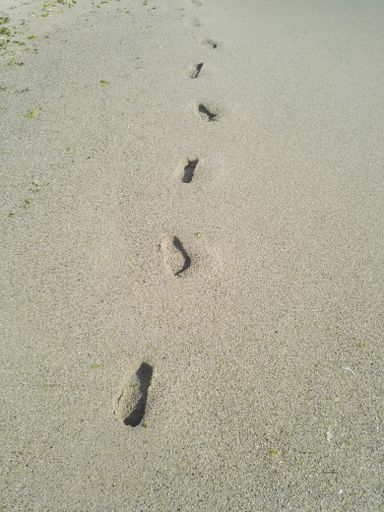 A vertical closeup shot of footprints in the sand