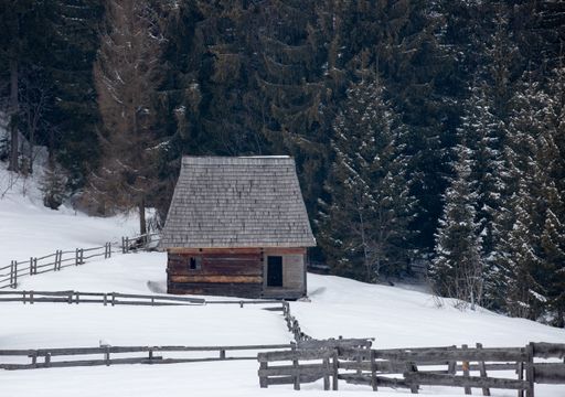 An isolated peasant household in a mountainous area in winter against a fir tree forest