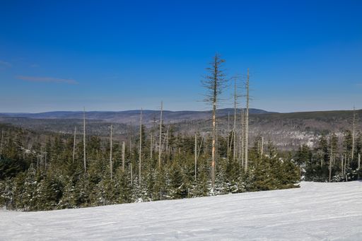 A horizontal shot of a snowscape taken on the top of Snowshoe Mountain at Snowshoe Ski Resort in West Virginia in February
