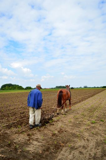 A vertical shot of a male and a horse in a brown field under cloudy sky