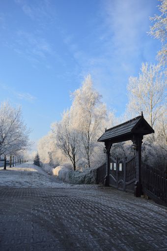 A vertical shot of a wooden gate in the park