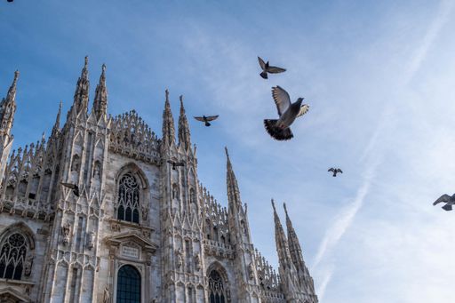 A low angle shot of the pigeons flying above the magnificent Milan Cathedral in Milan, Italy