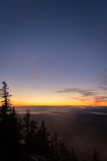 A vertical shot of a beautiful cloudy sky during a sunset from a forest