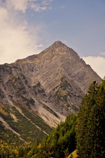 A vertical photo of a mountain peak and pine trees