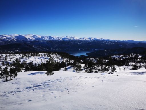 A landscape view of trees surrounded by mountains on a sunny snowy winter day