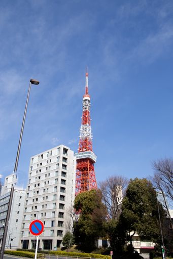 A vertical shot of the Tokyo tower behind the buildings on a sunny day, Japan