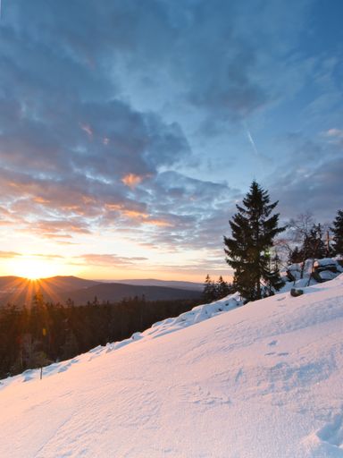A vertical shot of trees growing on the hill covered in snow in the sunset.