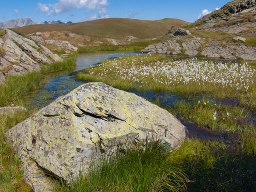 A swampy rocky green mountain valley in Col de Bellard, Haute Savoie, France
