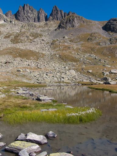 A vertical shot of a small pond near a rocky cliff in Lac de la Combe, Haute Savoie, France