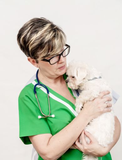 A view of a Caucasian female veterinary hugging a cute white bichon Maltese on the wooden table
