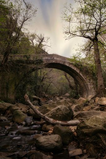 A vertical shot of an ancient bridge over a forest river in Andalucia, Spain