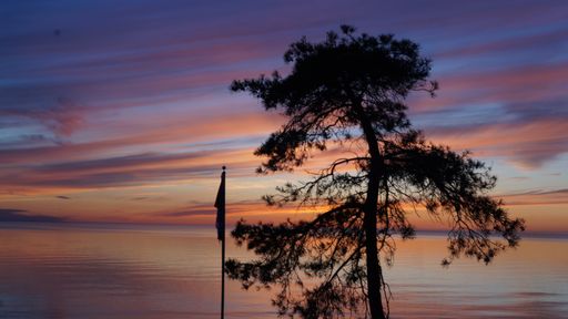 The silhouette of a tree surrounded by the sea under a cloudy sky during the sunset