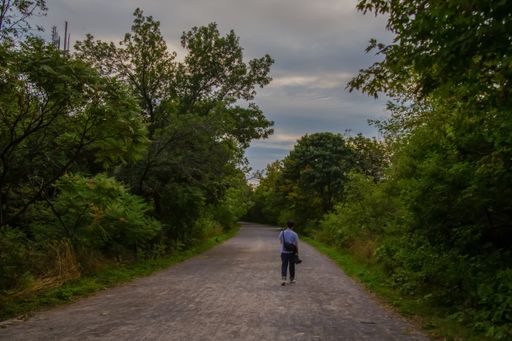 A man with his back turned walking along the road in the middle of the forest