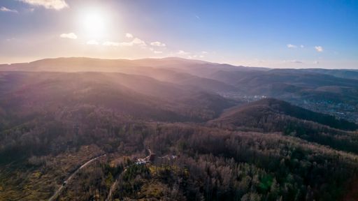 An aerial view of a dead forest and bare trees on a mountain near Wernigerode