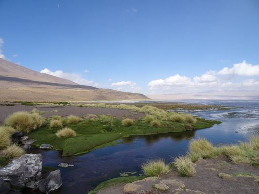 The high mountains and the salt lake gleaming under the sky in Los Flamencos National Reserve, Chile