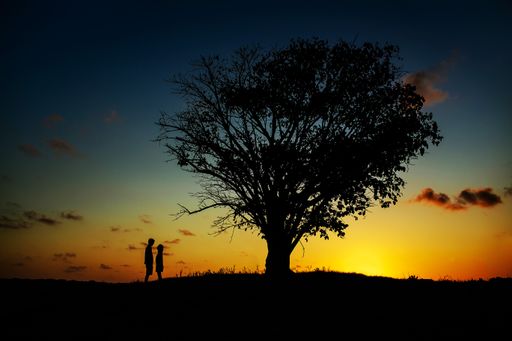 A landscape shot of a tree in a field with two people standing near it in silhouette during sunset