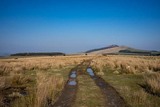 A Rubers Law Scottish Borders Near Hawick, Roxburghshire