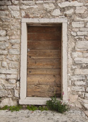 A vertical shot of a brick wall and a wooden door