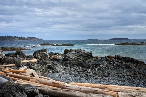 View of the driftwood logs on a rocky grey beach overlooking the rough ocean and islands in the distance on a bright overcast day.
