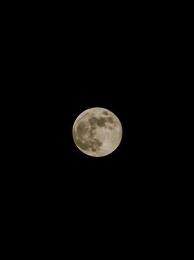 A vertical image of the full moon against a clear dark sky
