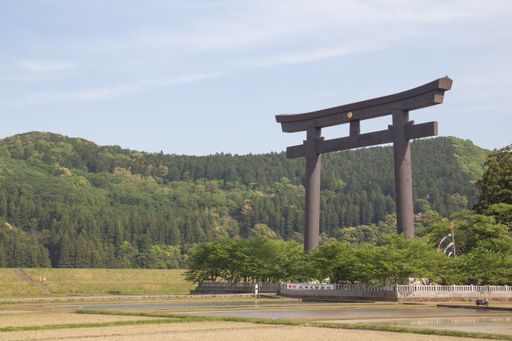 The magnificent Otorii gate of Torii Shrine near the tree-covered hills captured in Tanabe, Japan