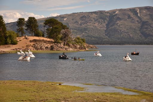 Beautiful swans swimming in the lake surrounded by trees and mountains on a sunny day