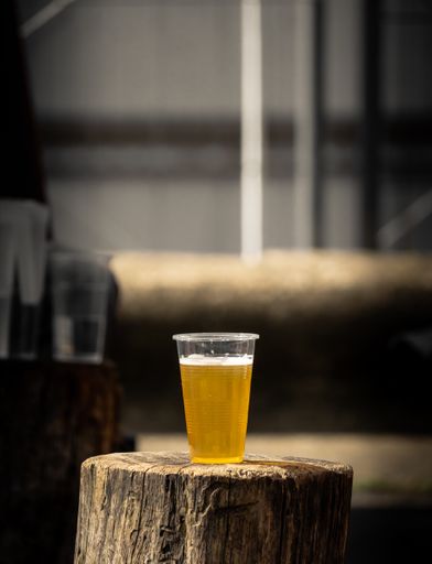A selective focus shot of fresh beer in plastic cup