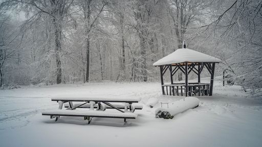 A beautiful forest with a wooden bench and a gazebo covered in snow