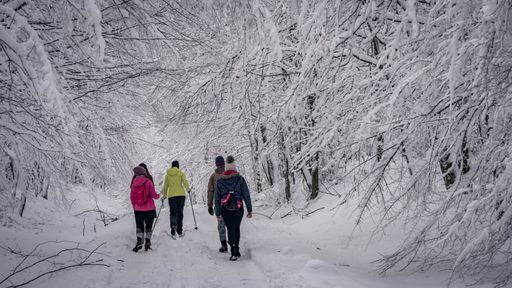 A scenic view of a group of people walking through leafless trees and shrubs covered with snow in winter