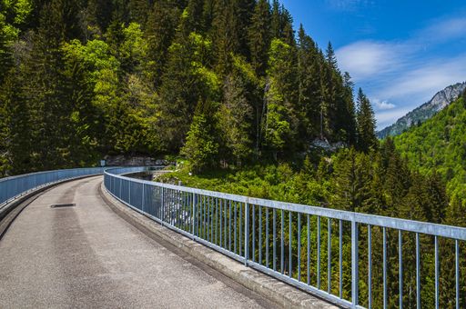 A beautiful shot of Lac de l'Hongrin dam filled with trees and mountains - perfect for travel blog