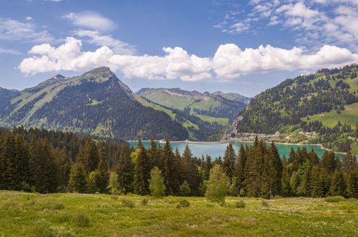 A beautiful shot of Lac de l'Hongrin with clear blue sky - perfect for travel blog