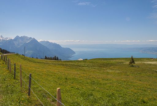 A Panoramic view of Lavaux, Switzerland with fence and a green grass - perfect for travel blog