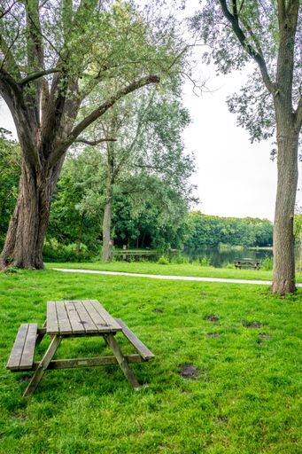 A vertical shot of a wooden table with benches in a park covered in greenery