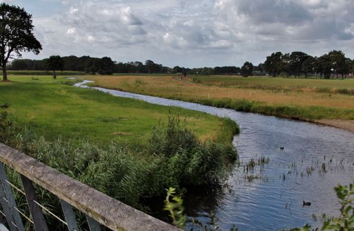 A landscape shot of a river flowing through a green field