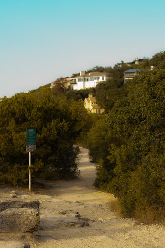 A vertical shot of a path through dense green trees leading to houses on a clear blue sky background