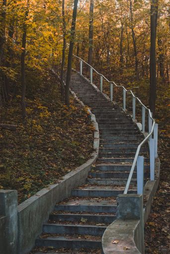 A vertical shot of a staircase through the forest with tall trees and lush nature in the autumn