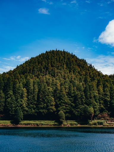 A beautiful view of a lake in front of the high green trees under a blue sky