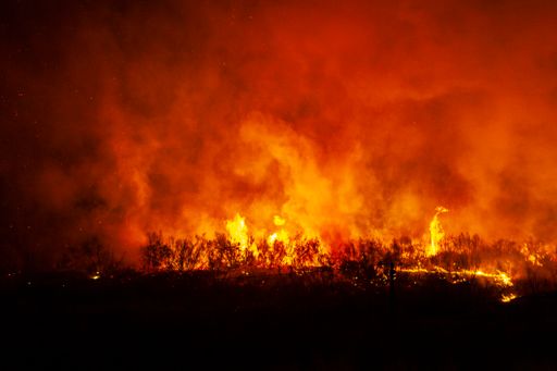 The huge wildfire burning forest trees in the meadow at night
